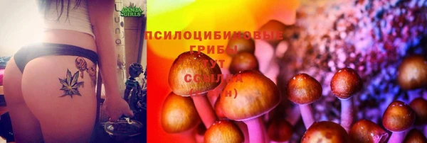 2c-b Богородицк