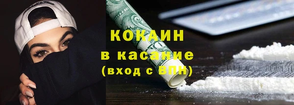 шишки Белокуриха