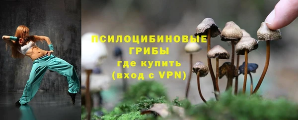 гидра Беломорск