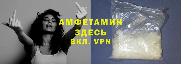 шишки Белокуриха