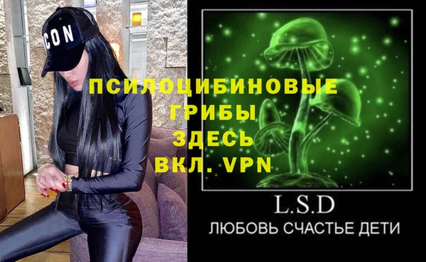 шишки Белокуриха