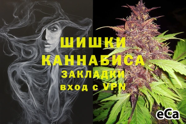шишки Белокуриха