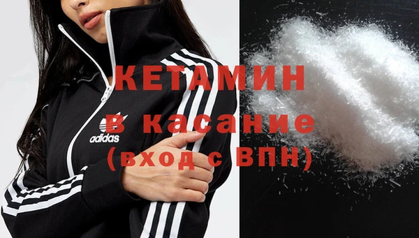 шишки Белокуриха