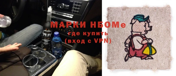 шишки Белокуриха