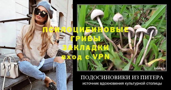 apvp Бугульма